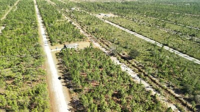 Portulaca Dr, FL 33855 — 32 of 68