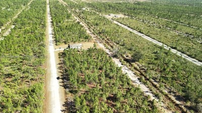 Portulaca Dr, FL 33855 — 33 of 68