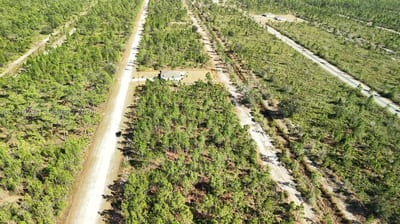 Portulaca Dr, FL 33855 — 35 of 68