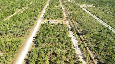 Portulaca Dr, FL 33855 — 36 of 68