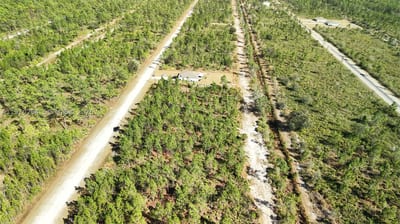Portulaca Dr, FL 33855 — 37 of 68