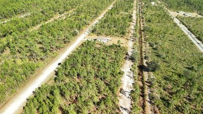 Portulaca Dr, FL 33855 — 38 of 68