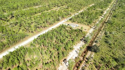 Portulaca Dr, FL 33855 — 40 of 68