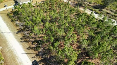 Portulaca Dr, FL 33855 — 5 of 68