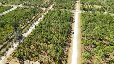 Portulaca Dr, FL 33855 — 54 of 68