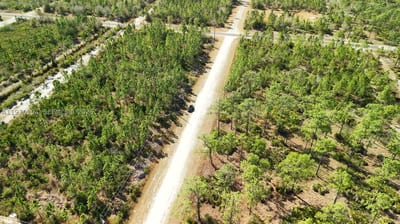 Portulaca Dr, FL 33855 — 55 of 68
