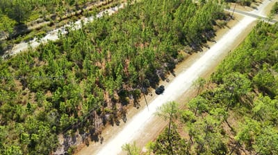 Portulaca Dr, FL 33855 — 58 of 68