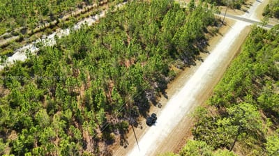 Portulaca Dr, FL 33855 — 59 of 68