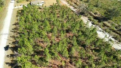 Portulaca Dr, FL 33855 — 7 of 68