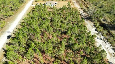 Portulaca Dr, FL 33855 — 8 of 68